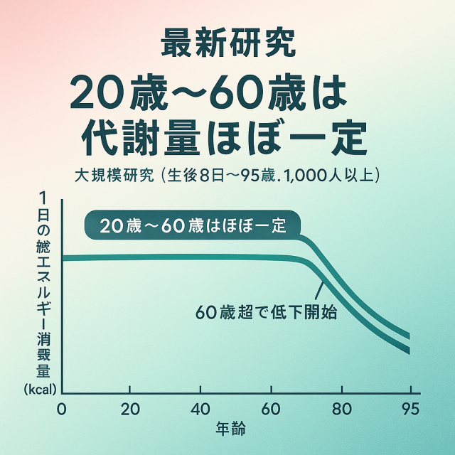 代謝量についてのグラフ
