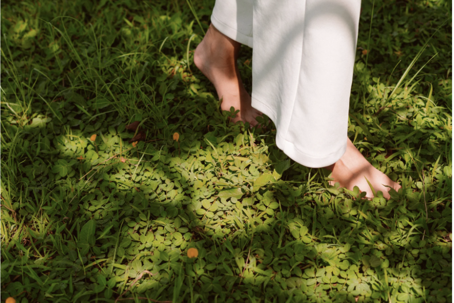 スクリーンショット 2025-10-09 12.16.51